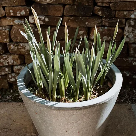 別荘 Gatecroft House Garrigill