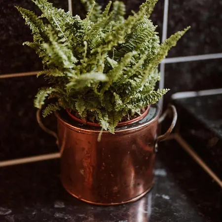 Gatecroft House Garrigill